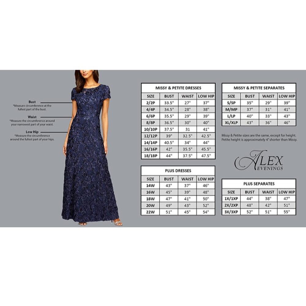 Alex Evenings Women's Sleeveless Dress V-Neck Embroidered Gown Size 10 - Picture 2 of 3